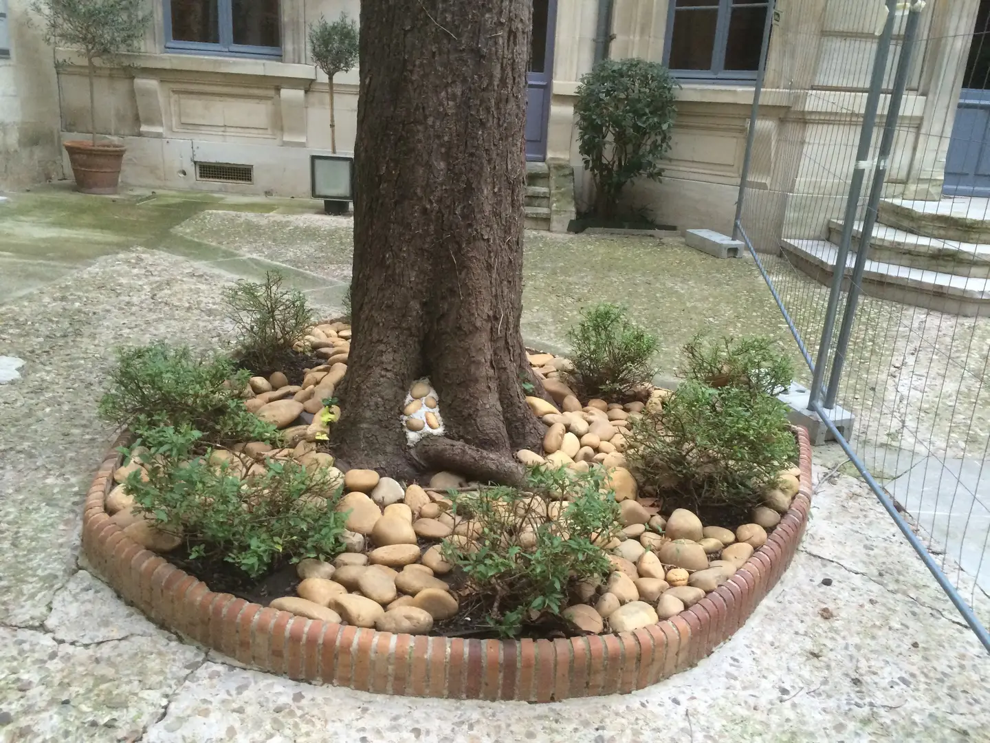 Mur et dalle-BGP Paysagiste à Villeneuve les Avignon