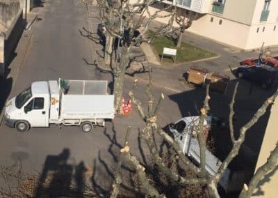 BGP Paysagiste à proximité d'Avignon