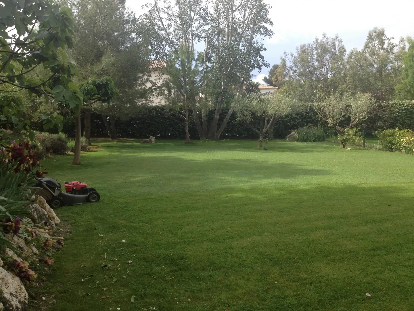 Création de jardin sur Avignon